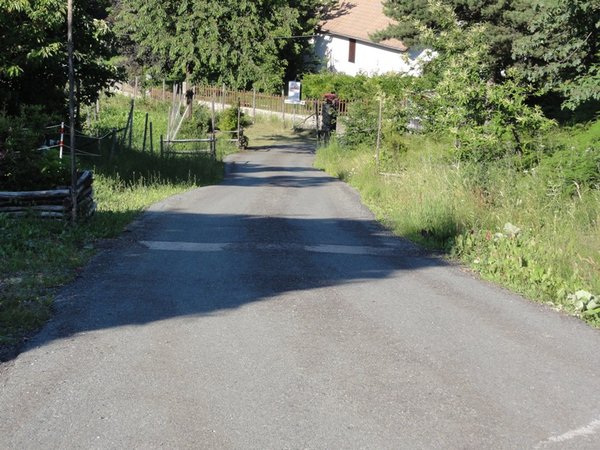 Narrow Road in Italy