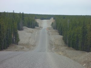 11. The rollercoaster road cuts a swathe through the forest
