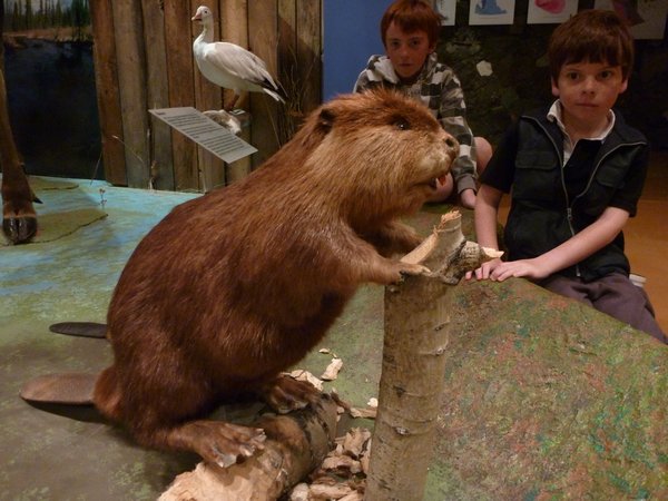 c. The boys and a Beaver