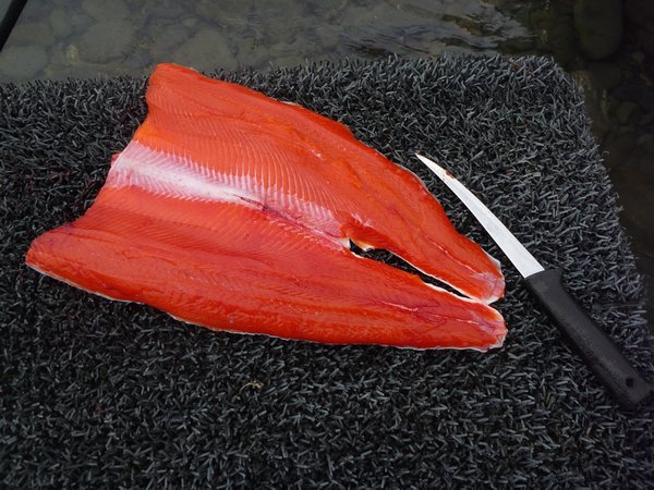 This is why they call it "Red" salmon