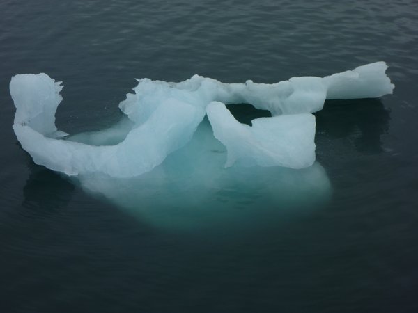 Iceberg art