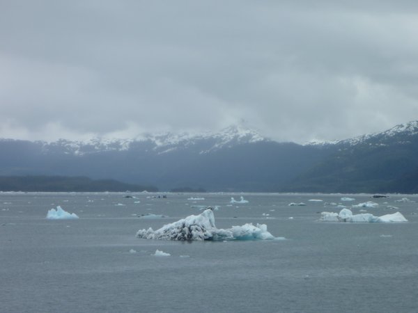 A minefield of icebergs ahead