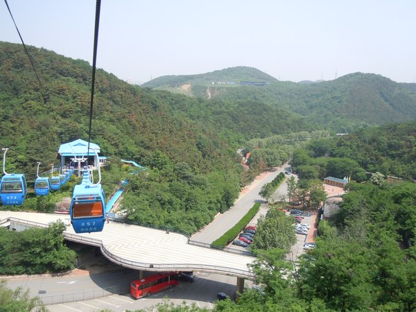 Dalian Zoo below