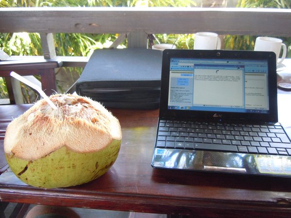 Coconut Blog