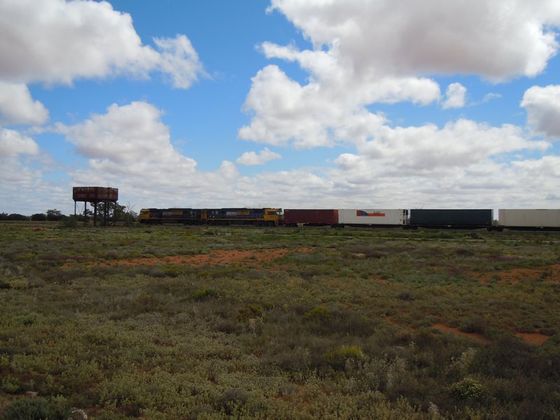 Broken Hill Train,he honked at us!!