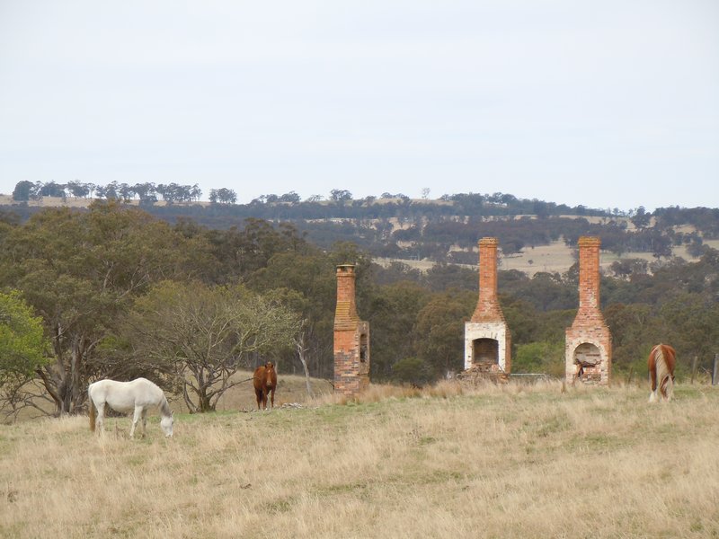 3 horses 3 chimneys, Wollomombi