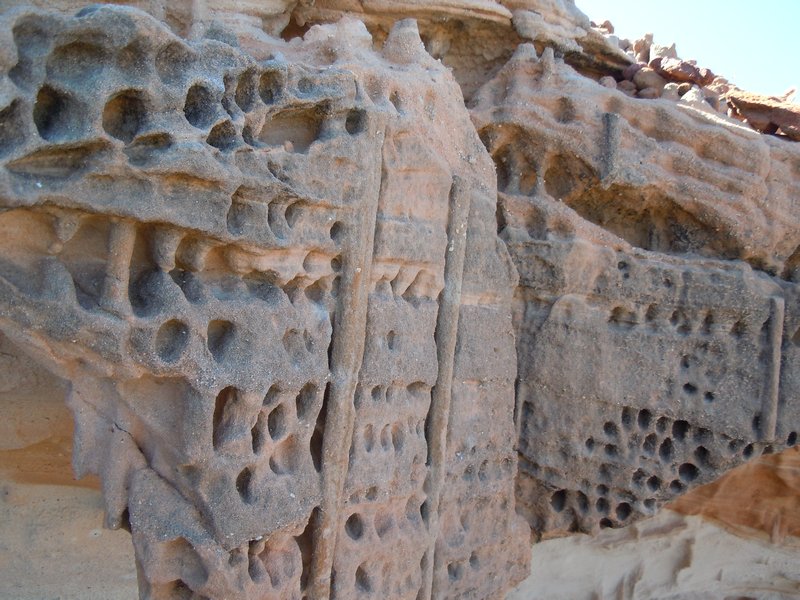 400 Million year old Tumglooda Sandstone Worm Fossils, Kalbari NP