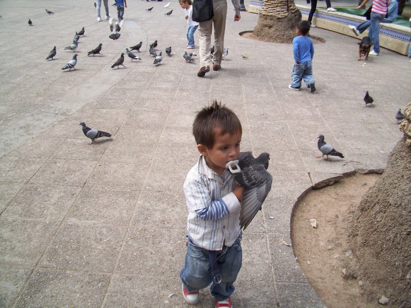 Hungry boy in Salta Plaza