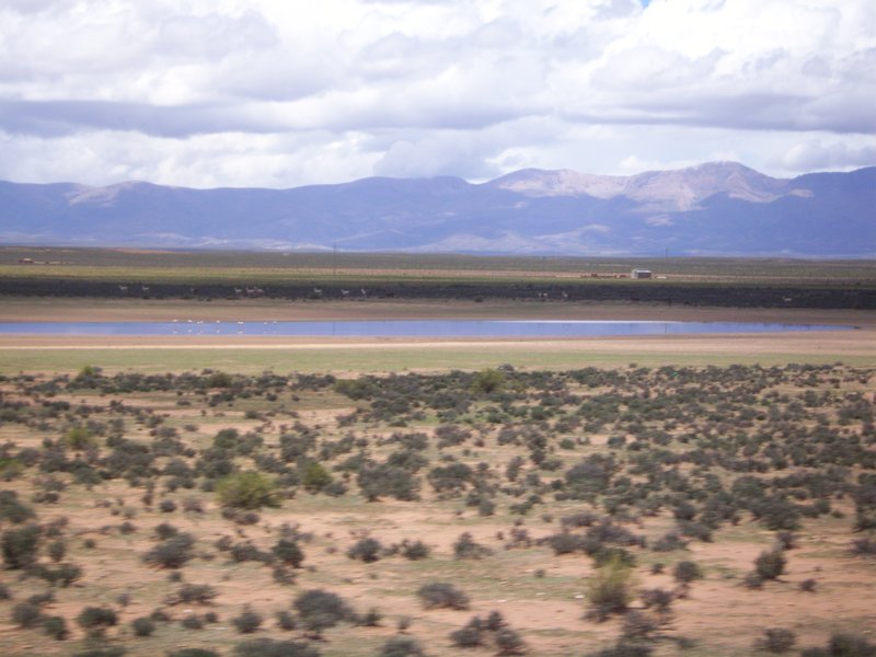 Altiplano in Argentina south of La Quica