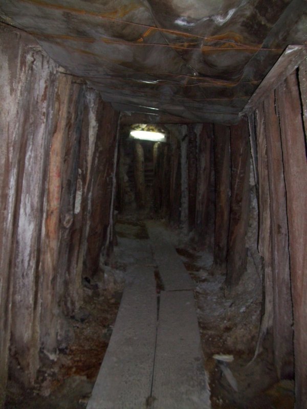 Mine tunnel (2)