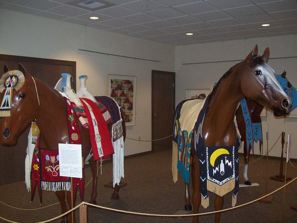 Native American Horse Dress