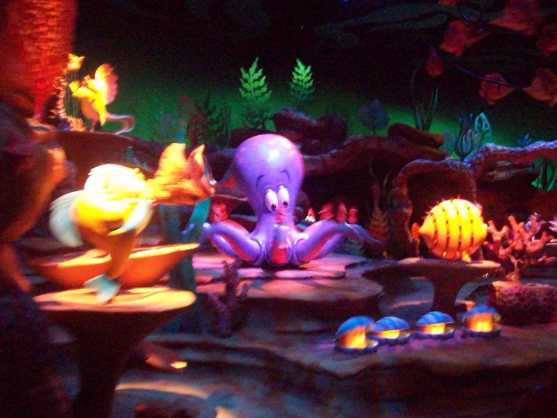 The beginning of the "Under the Sea" fish room