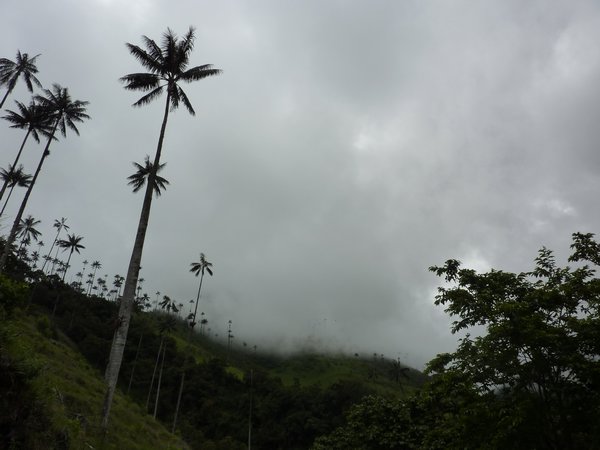 Valle de Cocoro