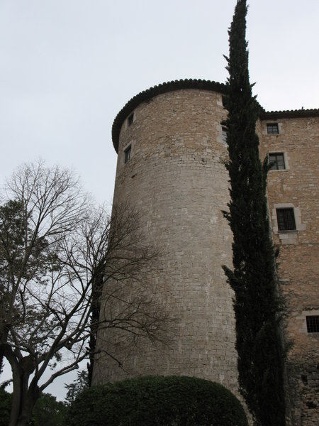 tree and tower