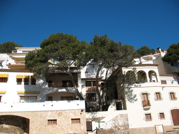 typical whitewashed houses