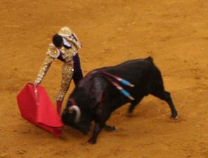 Bullfighter