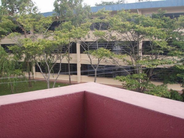 School from balcony