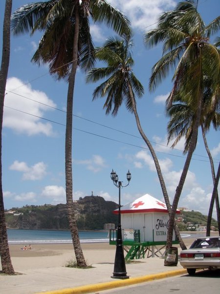 Palm Trees, San Juan (on top of hill), and Flor de Cana