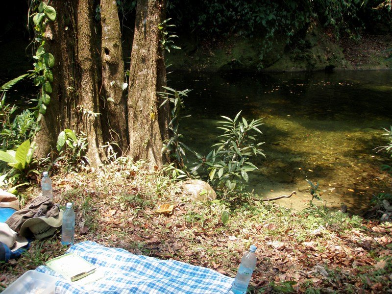 Picnic Lunch by the River