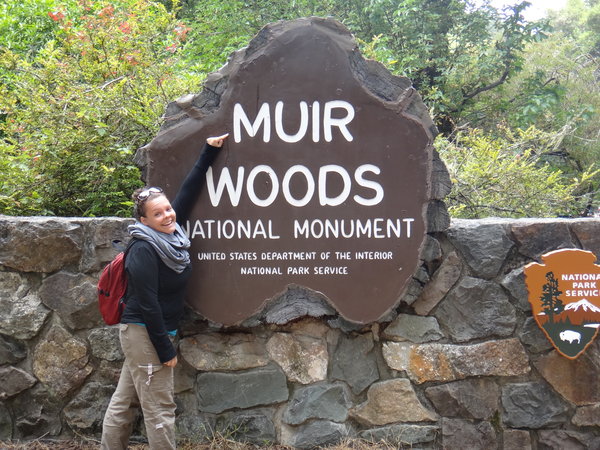 Muir Woods!