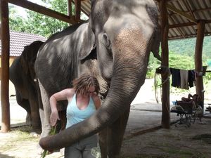 getting a hug from an elephant