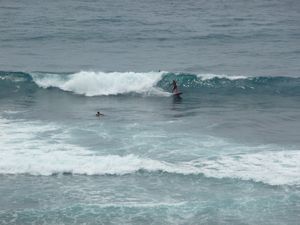 surfers at Blue point