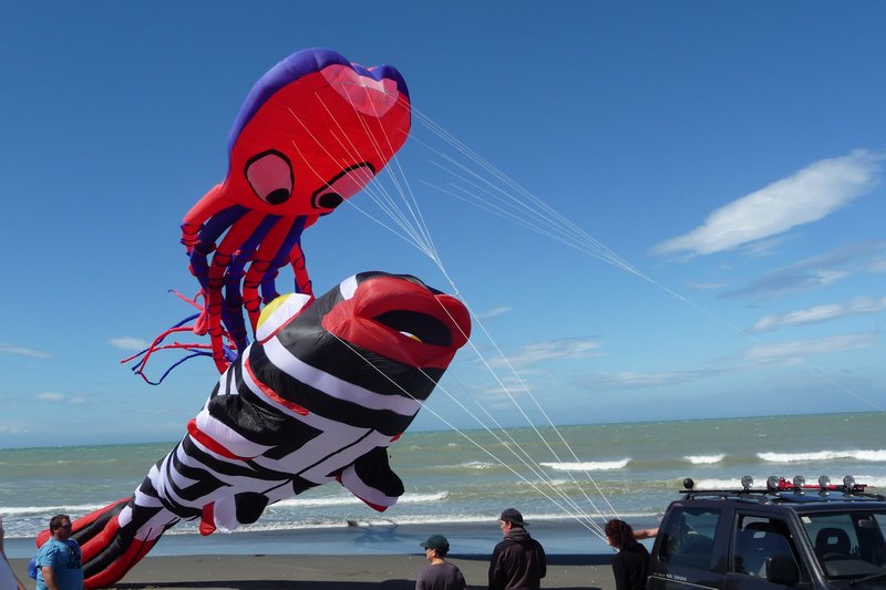 Brighton kite show