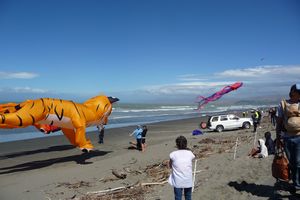 Brighton kite show