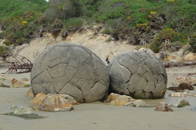 moeraki boulders 1