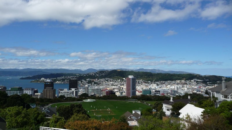 overlooking Wellington