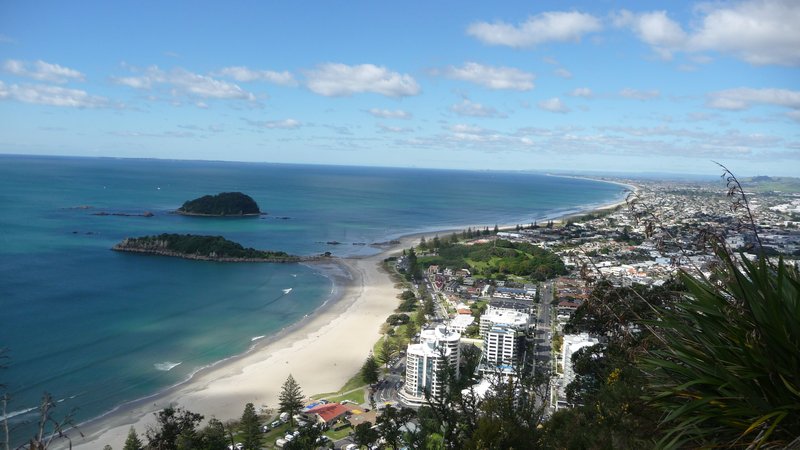 Mt Maunganui from top of the mount