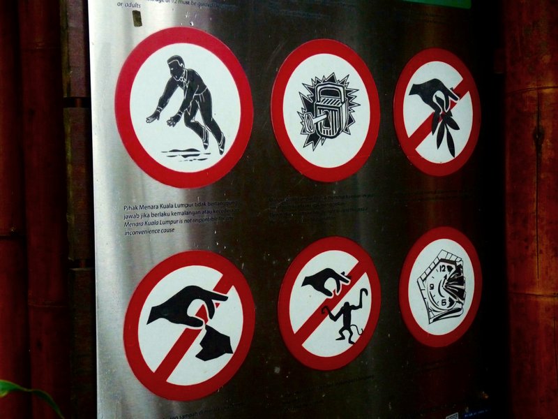 7 All the things you shouldn't do, including touching monkeys