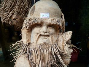 33 Carved out of a mangrove tree root