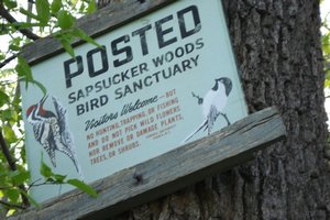 Sapsucker Woods Sign