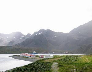 View of Grytviken and King Edward Point