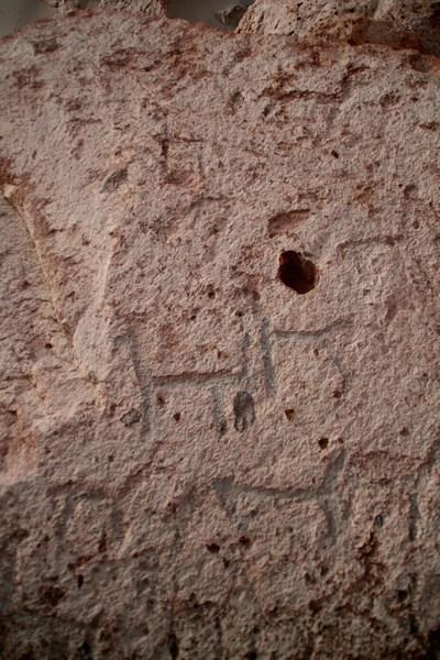 Llama Petroglyph