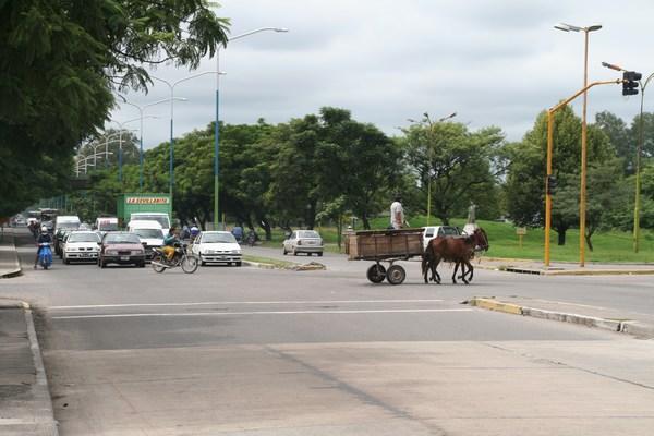 Horse and cart in Tucuman