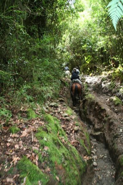 Horse riding in the Cochamo Valley