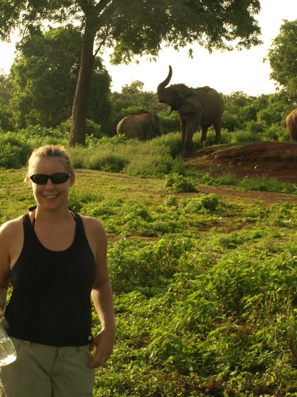 Gill spots our first elephant of the day