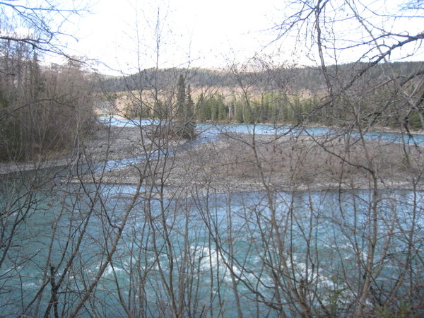 Kenai River (2)