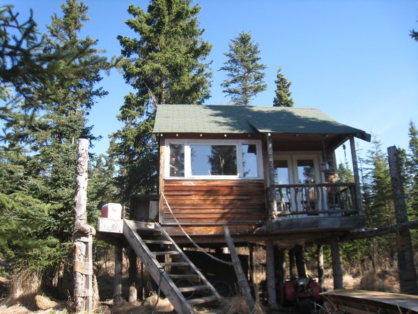 The treehouse (ma cabane)