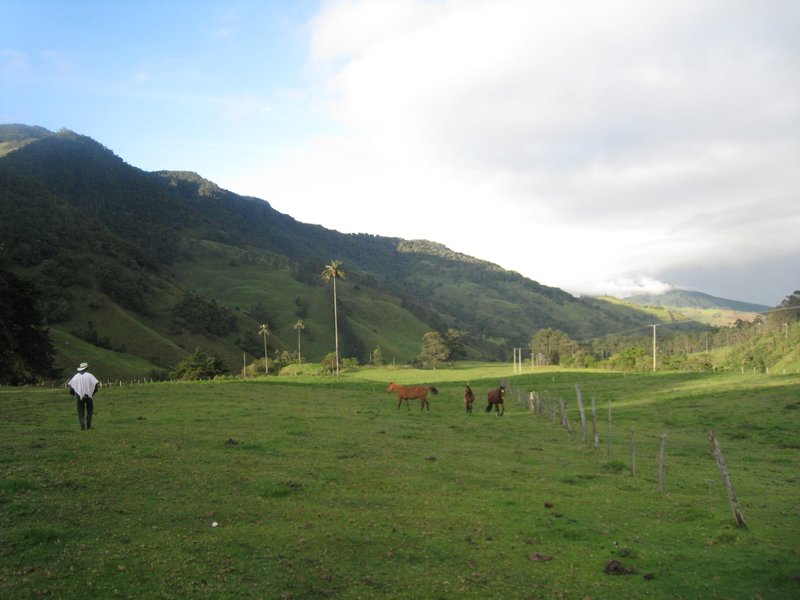 Le ranch dans la vallee de Cocora