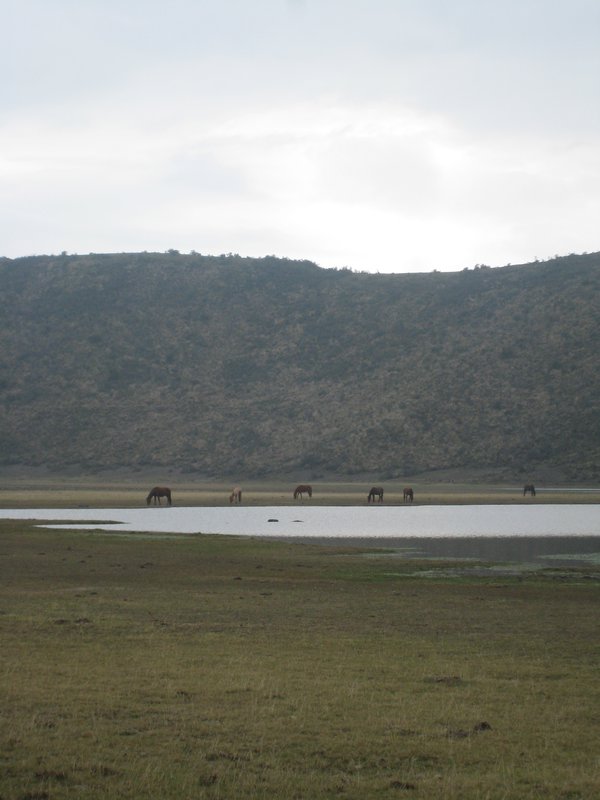 Laguna Limpiopungo