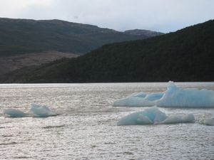 Les grands icebergs sur le lac grey
