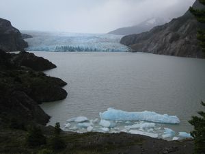 Le glacier grey (au fond) et les iceberg