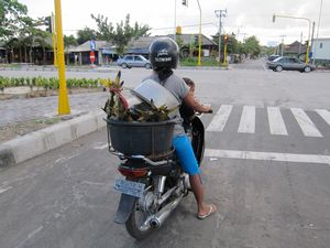 Les scooters transportent tout ce qu'on peut imaginer !