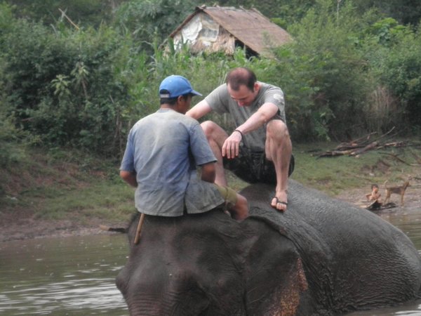 The mahoot encourages Darren to stand on his elephant's back .
