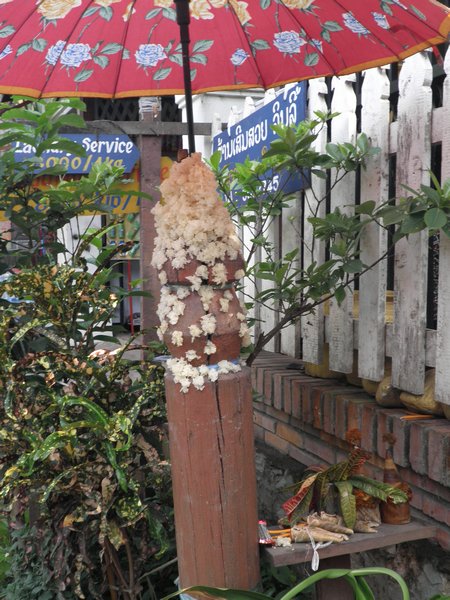 More sticky rice on a fencepost offered to Buddha.