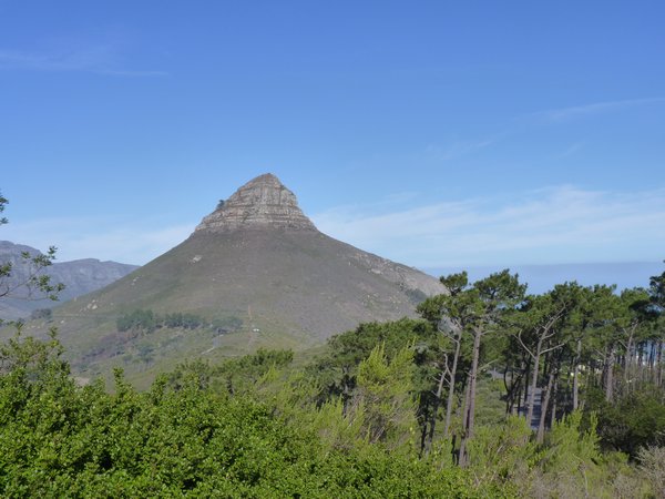 Lions Head from Signal Hill