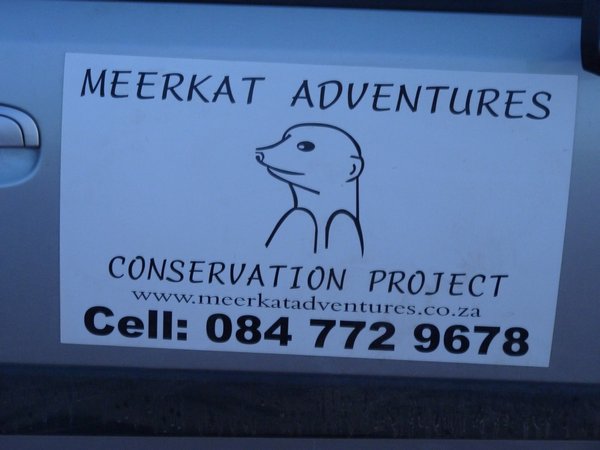 The Meerkat man